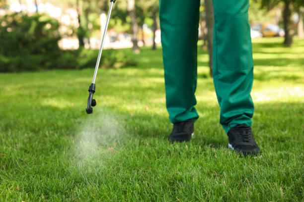 Best Termite Control Services  in Worthgton, IN