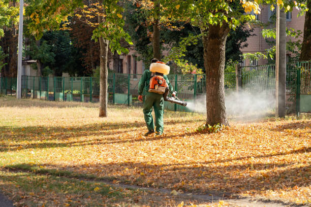 Best Flea Control Services  in Worthgton, IN