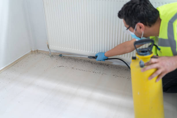 Best Pest Control Near Me  in Worthgton, IN