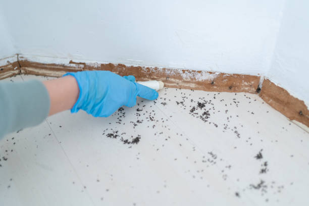 Best Pest Inspection Near Me  in Worthgton, IN