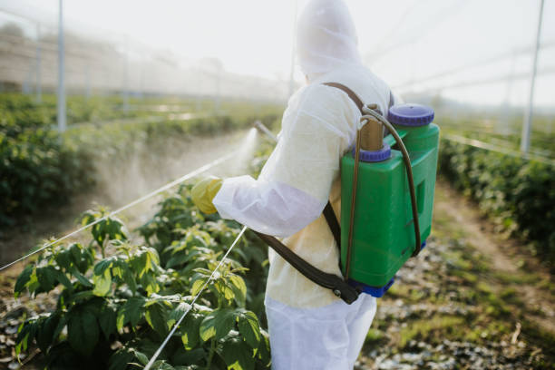 Best Emergency Pest Control  in Worthgton, IN